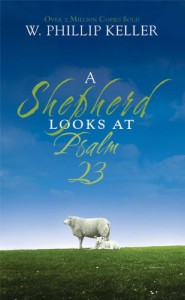 41 - A Shepherd Looks at Psalm 23